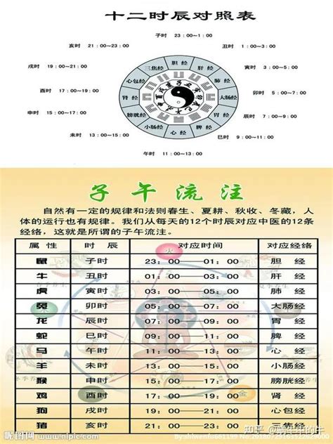 壬亥|天支地支 十二时辰对照表